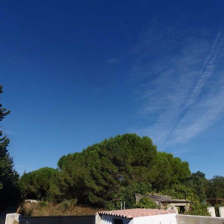 아메거스 Joli Mazet Entre Montpellier Et Nimes 아파트 외부 사진